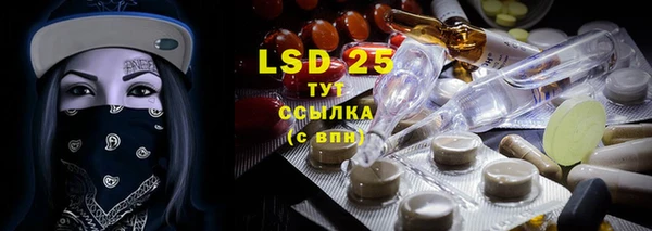 mdpv Новодвинск
