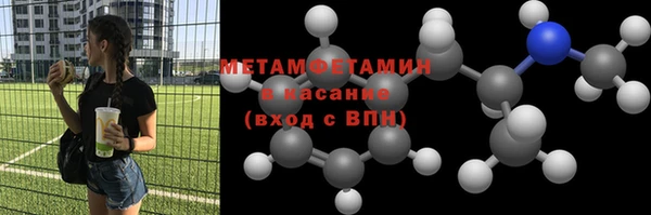 сатива Новозыбков