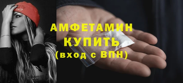 сатива Новозыбков